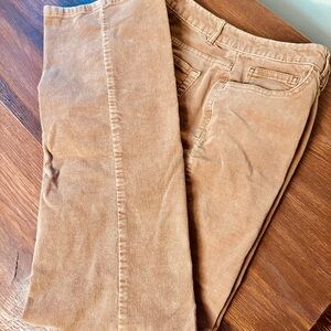 Chaps Corduroy Pants